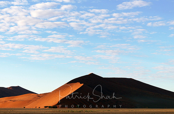 P180 Sand dunes, Sossusvlei, Namibia