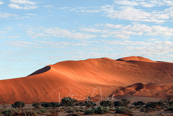 P180 Sand dunes, Sossusvlei, Namibia