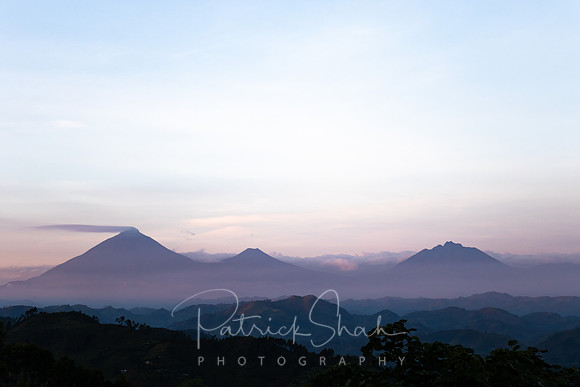 P050 Virunga Volcanoes, south western Uganda