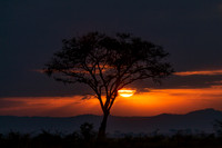 P020 Sunrise in Ishasha, western Uganda
