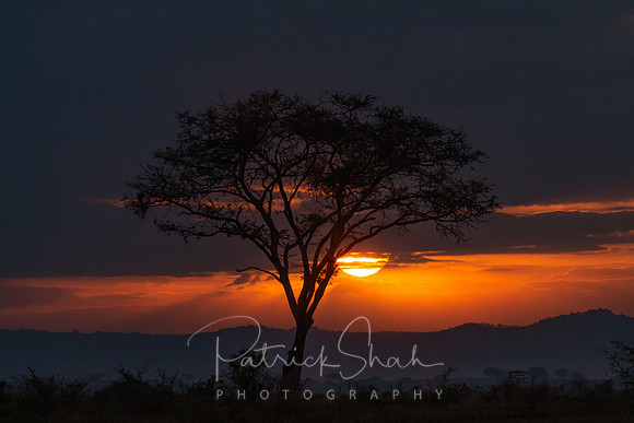 P020 Sunrise in Ishasha, western Uganda