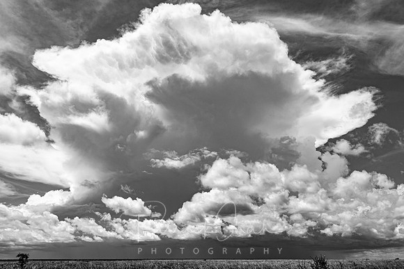 P100 Approaching storm, Nxai Pan, Botswana