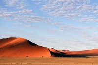 P180 Sand dunes, Sossusvlei, Namibia