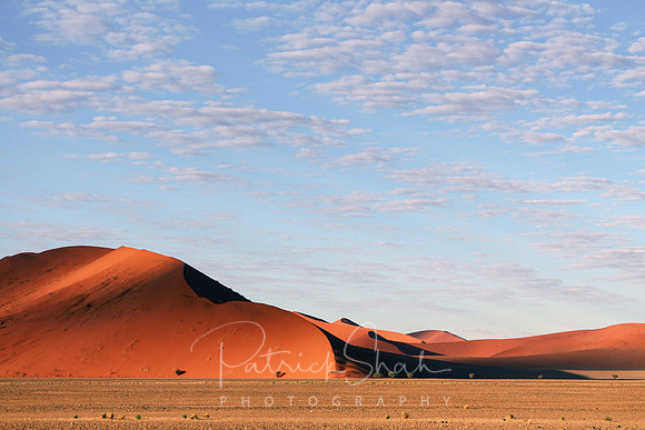 P180 Sand dunes, Sossusvlei, Namibia