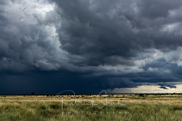 P120 Storm clouds, Nxai Pan, Botswana