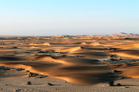 P160 Sand dunes, Swakopmund, Namibia