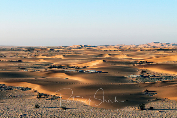 P160 Sand dunes, Swakopmund, Namibia