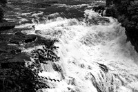 P080 Fisherman at the Devil's Cauldron, Victoria Falls